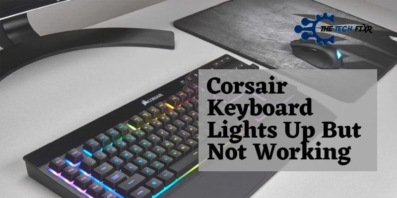 Corsair Keyboard Lights Up But Not Working
