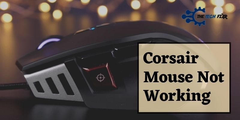 Corsair Mouse Not Working: Most Common Fixes Proved! Corsair Mouse Not Working