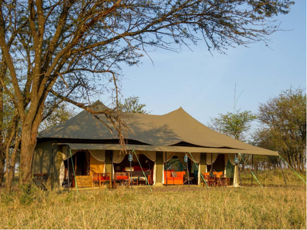 THE DIFFERENCE BETWEEN LODGE-BASED AND MOBILE CAMP SAFARIS IN TANZANIA Screenshot 36
